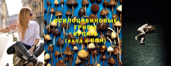 кокс Алексин