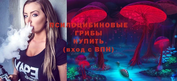 кокс Алексин