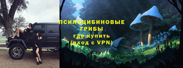 не бодяженный Алзамай