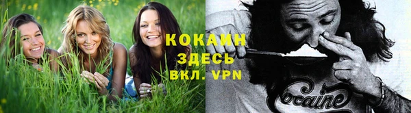 кокс Алексин