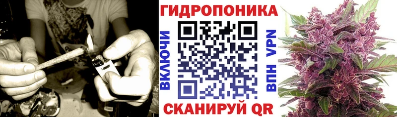 Каннабис план  где найти наркотики  Мантурово 
